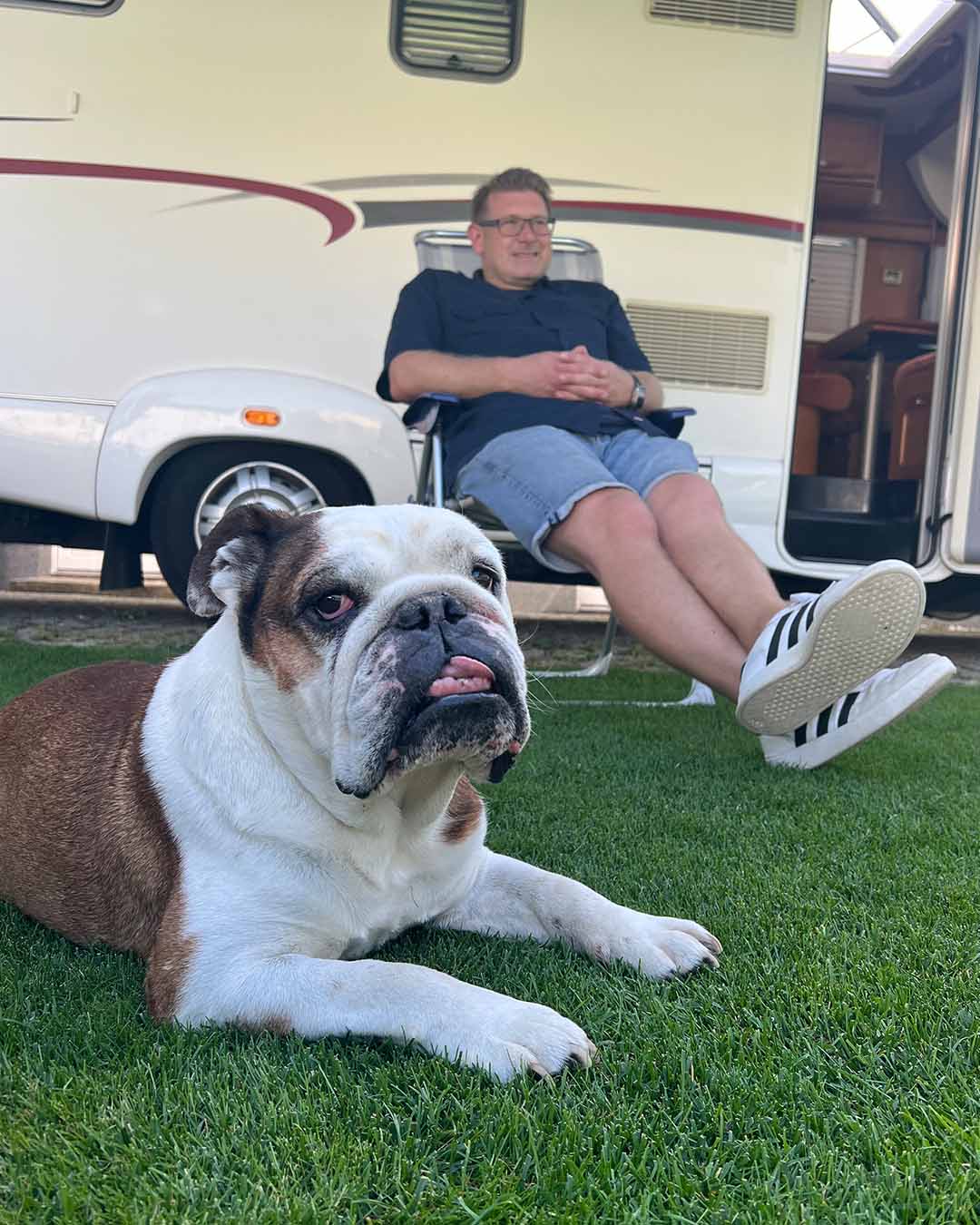 Camper mit Hund